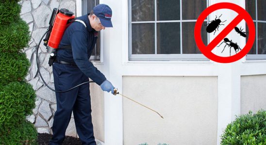 Köse Tahtakurusu İlaçlama böcek ilaçlama ve haşere kontrolü — ilaclama-tr.com
